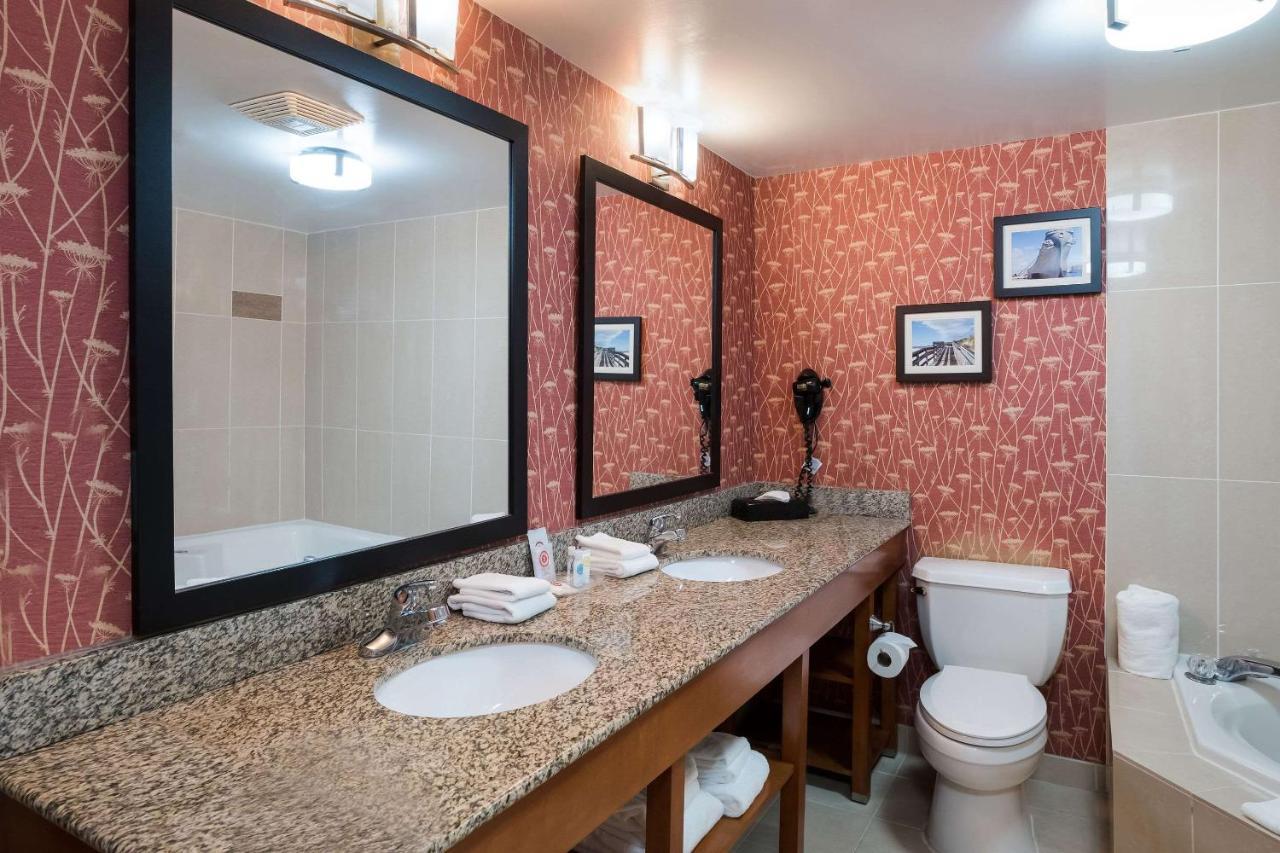 Comfort Suites Suffolk - Chesapeake Екстер'єр фото